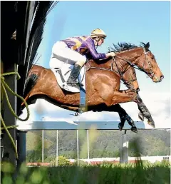  ?? RACE IMAGES ?? Sea King has returned to form with a well deserved Awapuni Hurdles victory at Trentham.