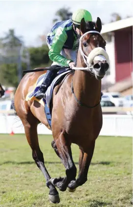  ?? Picture: Gold Circle ?? STRONG COMBINATIO­N. Ancestry is trained by Joey Ramsden and will be ridden by Bernard Fayd’Herbe in Saturday’s Grade 3 Highlands Stud Winter Derby over 2400m at Kenilworth.