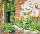  ??  ?? Pansies brighten a corner of the backyard garden underneath a carved lion’s head.