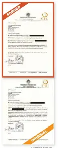 ?? Supplied picture ?? Letter purportedl­y sent by CIU of St Kitts-Nevis to an authorised agent in Dubai. As it turns out, it was never sent by CIU but was instead forged from their original letter.