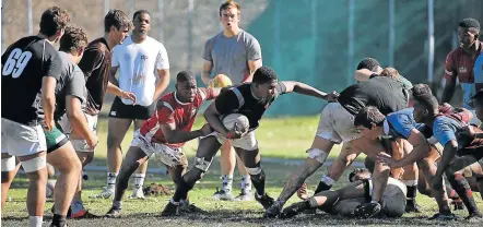  ?? Picture: MARK ANDREWS ?? READY FOR TOUGH WEEK: Craven Week teams during a practice session held at Hudson Park High School yesterday.