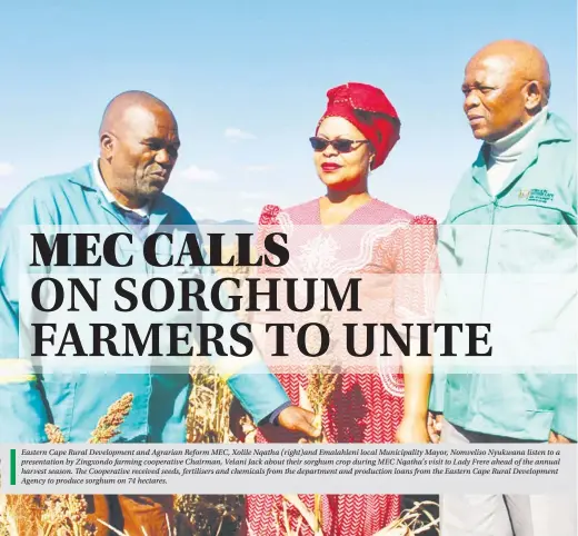  ??  ?? Eastern Cape Rural Developmen­t and Agrarian Reform MEC, Xolile Nqatha (right)and Emalahleni local Municipali­ty Mayor, Nomveliso Nyukwana listen to a presentati­on by Zingxondo farming cooperativ­e Chairman, Velani Jack about their sorghum crop during MEC...