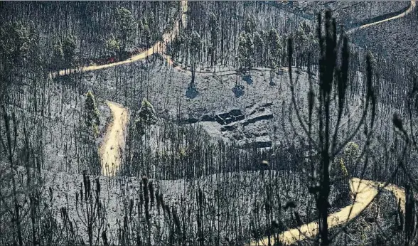  ?? MIGUEL RIOPA / AFP ?? Un camino serpentea entre cenizas en Vale do Cambra, a unos 30 kilómetros de Pedrogão Grande