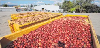  ?? FOTO: ANTON FUCHSLOCH ?? Gewerbegeb­iet „Elzenbach“: Container mit Äpfel im Vordergrun­d und im Hintergrun­d die Produktion­shalle des Automobilz­ulieferers Maucher.