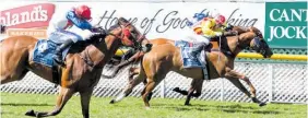  ?? Picture / Race Images ?? Carnival (right) will run at Trentham next month.