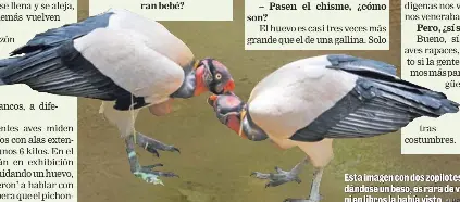 Reyes Esperan Pichon Pressreader