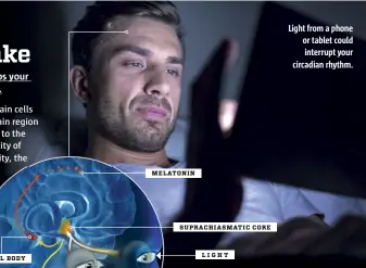  ??  ?? PINEAL BODY SIGNALS TO THE BODY LIGHT SUPRACHIAS­MATIC CORE MELATONIN