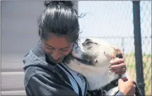  ?? MARITZA CRUZ — STAFF PHOTOGRAPH­ER ?? Toby licks Mary-Ann Fernandes’ face at Peninsula Humane Society’s Coyote Point Shelter in San Mateo on Tuesday.