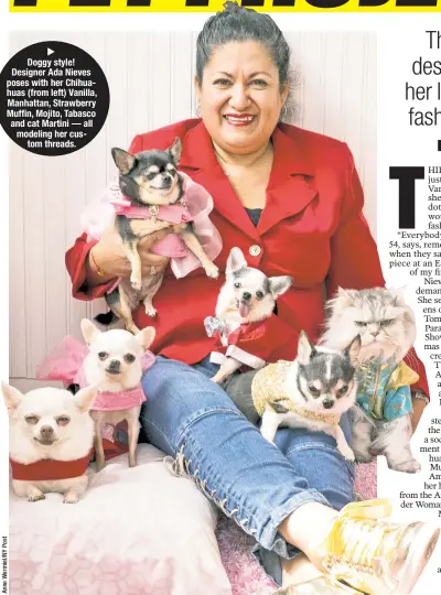  ??  ?? Doggy style! Designer Ada Nieves poses with her Chihuahuas (from left) Vanilla, Manhattan, Strawberry Muffin, Mojito, Tabasco and cat Martini — all modeling her custom threads.