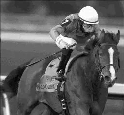  ?? MICHAEL BURNS ?? Sparkles’ Girl, now 4, wins the Ontario Lassie as a 2-year-old.