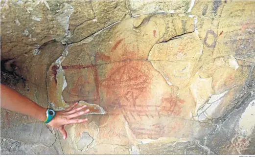  ?? ERASMO FENOY ?? Algunas de las pinturas rupestres de la cueva de la Laja Alta, en Jimena de la Frontera.