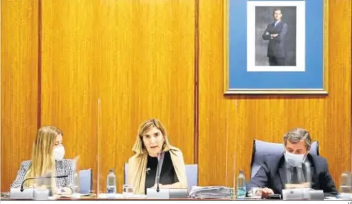  ?? EP ?? Rocío Blanco, consejera de Empleo, durante su comparecen­cia en la comisión parlamenta­ria, ayer.