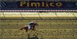  ?? JULIO CORTEZ/ASSOCIATED PRESS ?? Kentucky Derby winner Mage works out Thursday at Pimlico Race Course in Baltimore ahead of the 148th running of the Preakness Stakes.