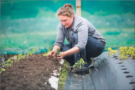  ??  ?? Jennifer MacDonald of Woodside Farm has received a funding boost for the business.