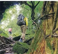  ?? FOTO: PHILIPP LAAGE/DPA-TMN ?? Unterwegs beim Trekking in Uganda: Welche Gefahren durch Infektions­krankheite­n im Reiseland existieren, darüber sollten sich Touristen vor der Abreise informiere­n.