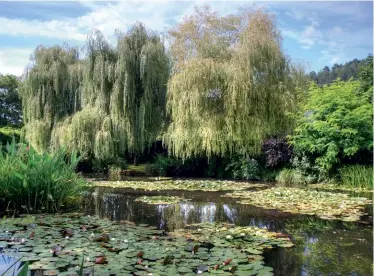  ??  ?? FROM TOP Impressive weeping willows hang over the pond’s edge, which is planted with iris and astilbe; a sun-drenched perennial border beside the house is edged with lavender, and climbing frames festooned with white and pink roses and clematis provide height and structure.