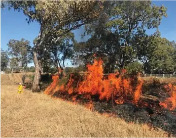  ?? PHOTO: CONTRIBUTE­D ?? COMMUNITY EFFORT: Volunteer firefighte­rs of Orange Hill Rural Fire Brigade worked with stakeholde­rs this season to carry out hazard reduction burns.