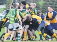  ?? JASON SIMMONDS/ JOURNAL PIONEER ?? The Westisle Wolverines push for a second- half try against the Three Oaks Axemen on Thursday night. The action took place during the opening game of the 22nd annual David Voye Memorial rugby tournament at Three Oaks Senior High School. Three Oaks...