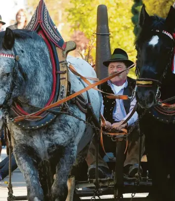  ?? Fotos: Marcus Merk ?? Normalerwe­ise wird der 115 Kilogramm schwere Leonhardsn­agel auf einem Wagen gezogen. In diesem Jahr steht der Kultgegens­tand vor der Kirche.