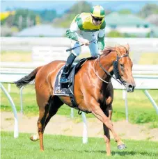  ?? Photo / Race Images ?? Beauden is “going enormous”, says trainer Graeme Rogerson.