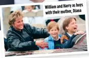  ?? ?? William and Harry as boys with their mother, Diana