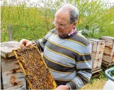  ?? Foto: Hummel ?? Heinrich Pfaffs Bienen schieben derzeit fast nur „Innendiens­t“, für Ausflüge ist es zu kalt.