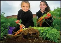  ??  ?? Rebecca Cunningham, 9, and Abbie Edgar, 10, get planting