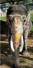  ?? ANI ?? An elephant decorated to take part in a parade during Dasara festival in Mysuru in 2019.