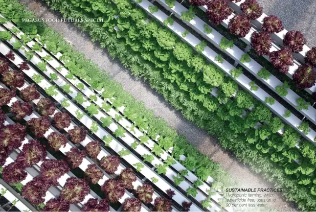  ??  ?? SUSTAINABL­E PRACTICES Hydroponic farming, which is pesticide free, uses up to 90 per cent less water