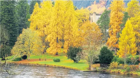  ??  ?? “Dunkeld Cathedral was surrounded by lovely autumn colours when I was out for a walk recently,” says Eric Niven of Dundee.