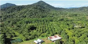  ?? ?? an aerial view of The ripe Time farm.