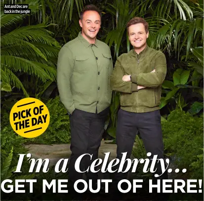  ?? ?? Ant and Dec are back in the jungle ★★★★