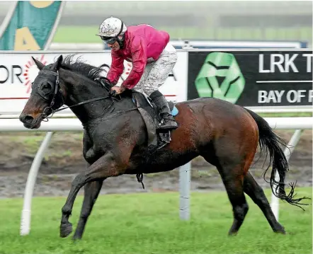  ??  ?? New Plymouth galloper Katie McKeen ridden by Robbie Hannam spaced the Kiwifruit Cup field at Tauranga yesterday.