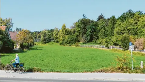  ?? Foto: Ulrich Wagner ?? Auf diesem Wiesenhang am nördlichen Bergheimer Ortsrand soll gebaut werden.