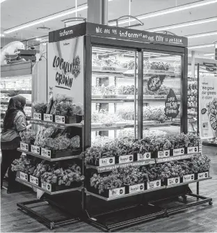  ?? SOBEYS ?? Sobeys has partnered with Infarm to bring fresh greens and herbs grown in modular farming units to select stores.