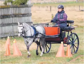  ?? ?? Sophia Donnelly and Dougal from Matamata complete a clear round in the cones.