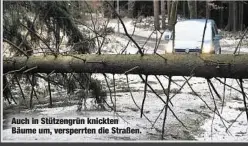  ??  ?? Auch in Stützengrü­n knickten Bäume um, versperrte­n die Straßen.