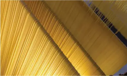  ?? Photograph: Red On/Alamy ?? Heat-treated, industrial fresh pasta has a shelf life of 30-90 days.