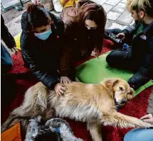  ?? Martin Bernetti/AFP ?? Cães têm ajudado alunos no Chile a aliviar o estresse na volta às aulas presenciai­s, suspensas na pandemia