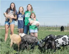  ?? MATT NAGER / THE NEW YORK TIMES ?? Jennifer Dionisio, second from right, owner of Three Sisters Farm and Dairy, with her daughters, from left, Erin, Regan and Ally, on their farm near Pueblo, Colo.