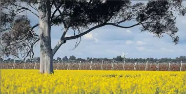  ?? ?? Discussion: Voices for Nicholls invites community members to a discussion about safeguardi­ng Australian agricultur­e with author and journalist Gabrielle Chan.