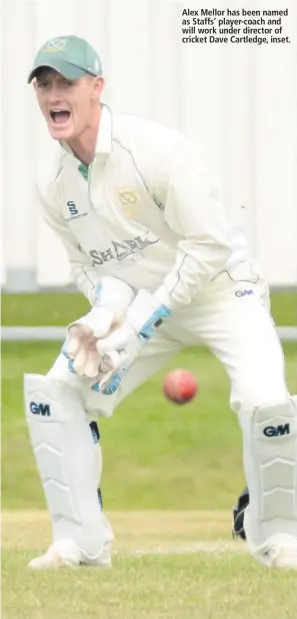  ??  ?? Alex Mellor has been named as Staffs’ player-coach and will work under director of cricket Dave Cartledge, inset.