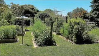  ?? PHOTO COURTESY OF THE POTTSTOWN AREA HEALTH & WELLNESS FOUNDATION ?? This garden belongs to Michael Myers, of Boyertown, who won first place in the general garden category. His home garden includes a variety of plants and vegetables.