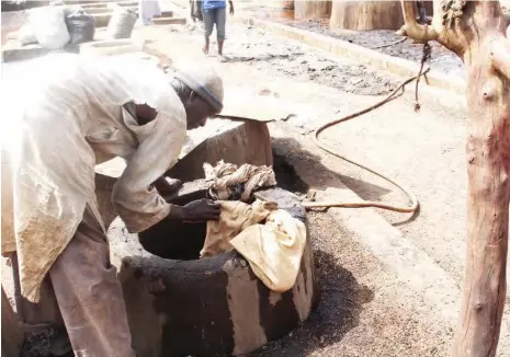  ??  ?? An old man performing his best at the tannery