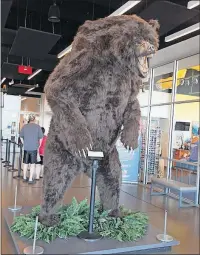  ??  ?? A giant bear greets visitors to Discovery Center, the centerpiec­e of Discovery Park.