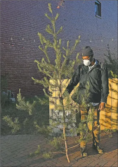  ??  ?? Brian Palmer of Richmond holds his recently purchased tree outside of Pichel’s tree lot.