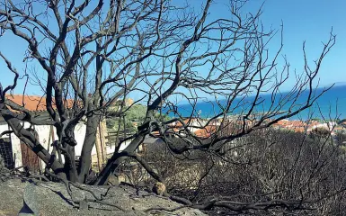  ??  ?? Il giardino di un’abitazione sulla panoramica di Castiglion­e raggiunto dalle fiamme