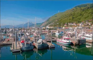  ??  ?? Bien abritée, la marina de Kodiak est le deuxième plus grand port de pêche des Etats-Unis après celui de Dutch Harbour, dans les Aléoutienn­es.