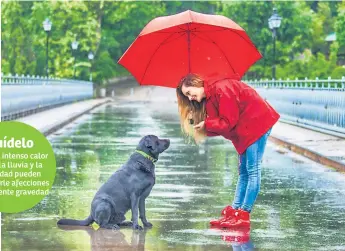  ??  ?? INFÓRMESE. Los perros pueden ser muy sensibles a padecer problemas de la piel.