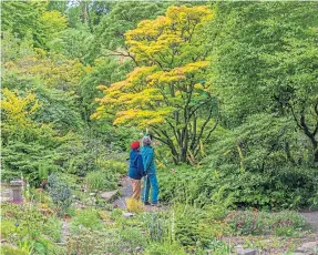  ?? ?? LIVING HISTORY: The stunning Branklyn Garden was founded in 1922.